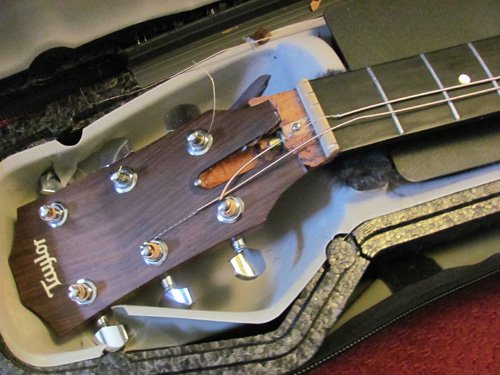 How to Ship Expensive Guitars Safely